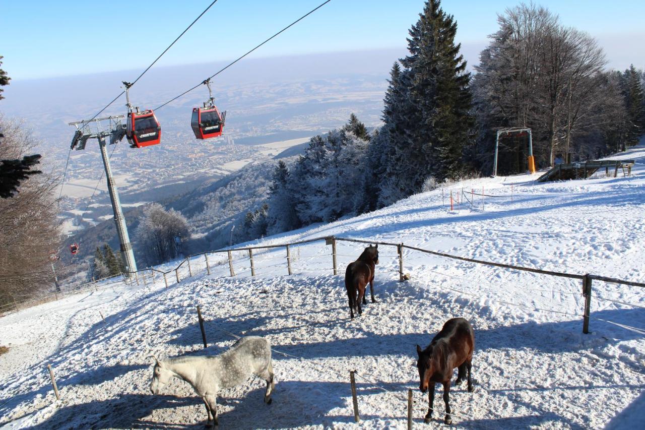 Pohorje Village Wellbeing Resort - Forest Apartments Videc Hočko Pohorje المظهر الخارجي الصورة