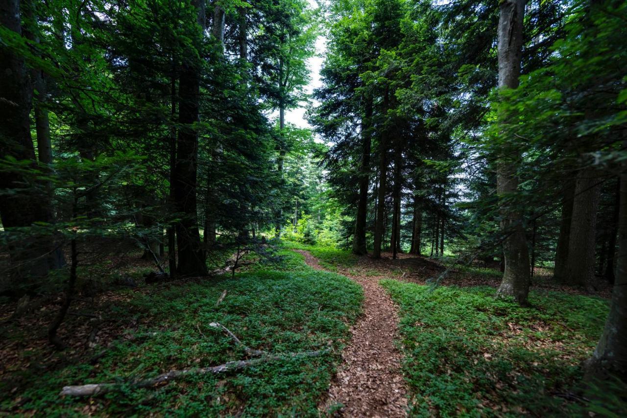 Pohorje Village Wellbeing Resort - Forest Apartments Videc Hočko Pohorje المظهر الخارجي الصورة